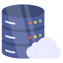 Data Service logo